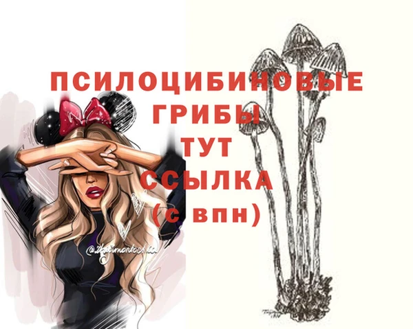 дживик Волоколамск