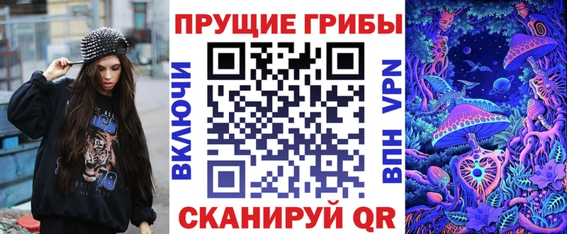 Псилоцибиновые грибы мицелий  закладки  Шатура 